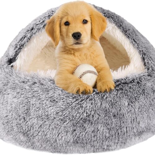 Gray cube-style bed with a hood/canopy